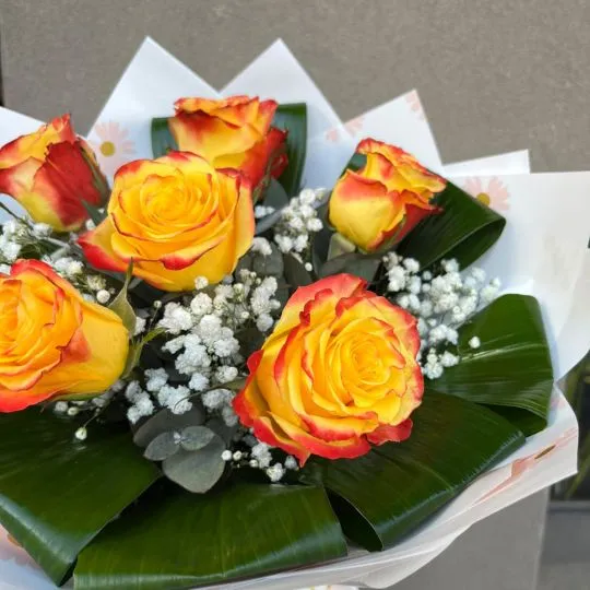 Ramo de 6 rosas amarillas bicolor importadas 